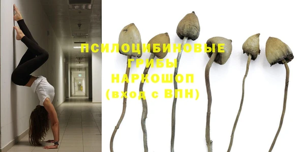спиды Пересвет