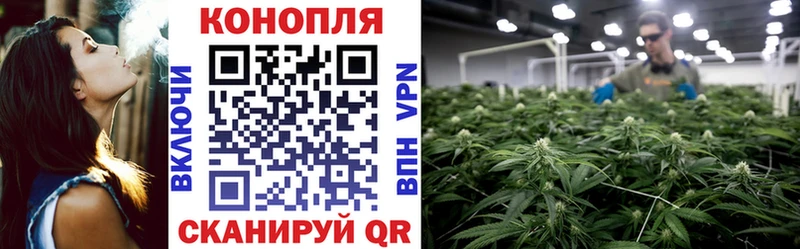 Конопля конопля  сколько стоит  Комсомольск 